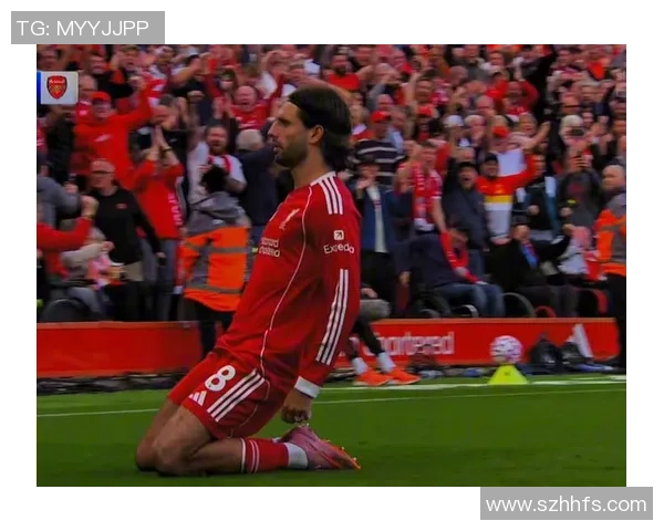 探寻索博斯洛伊的历史与文化魅力，揭开这座城市的神秘面纱