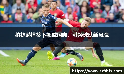 熊猫体育