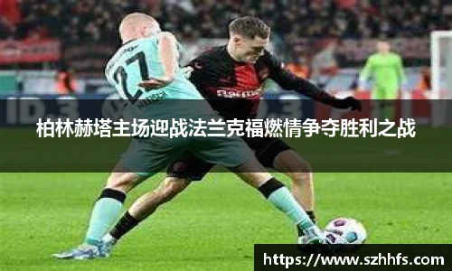 熊猫体育官网